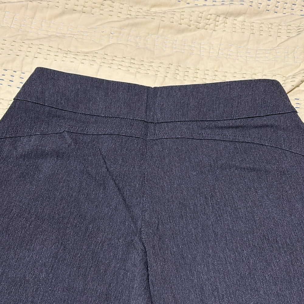 Westbound petites. Gray slacks. Size 10P regular. Great condition. Stretchy. - Picture 2 of 6